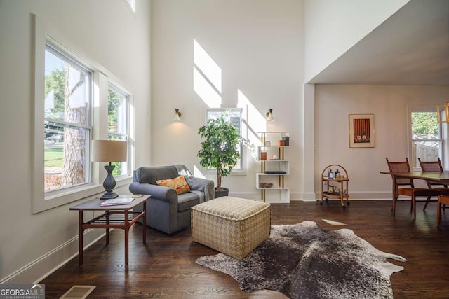 living room with a towering ceiling and dark hardwood / wood-style floors