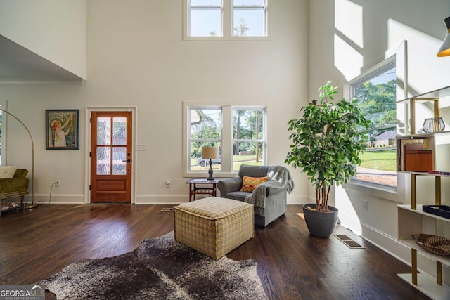 living room featuring a high ceiling and dark hardwood / wood-style floors