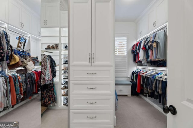 spacious closet featuring light colored carpet