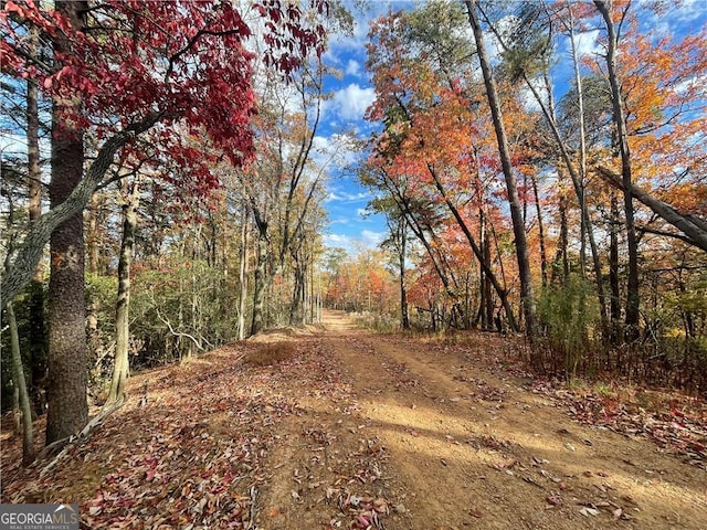 00 Firetower Rd, Jasper GA, 30143 land for sale