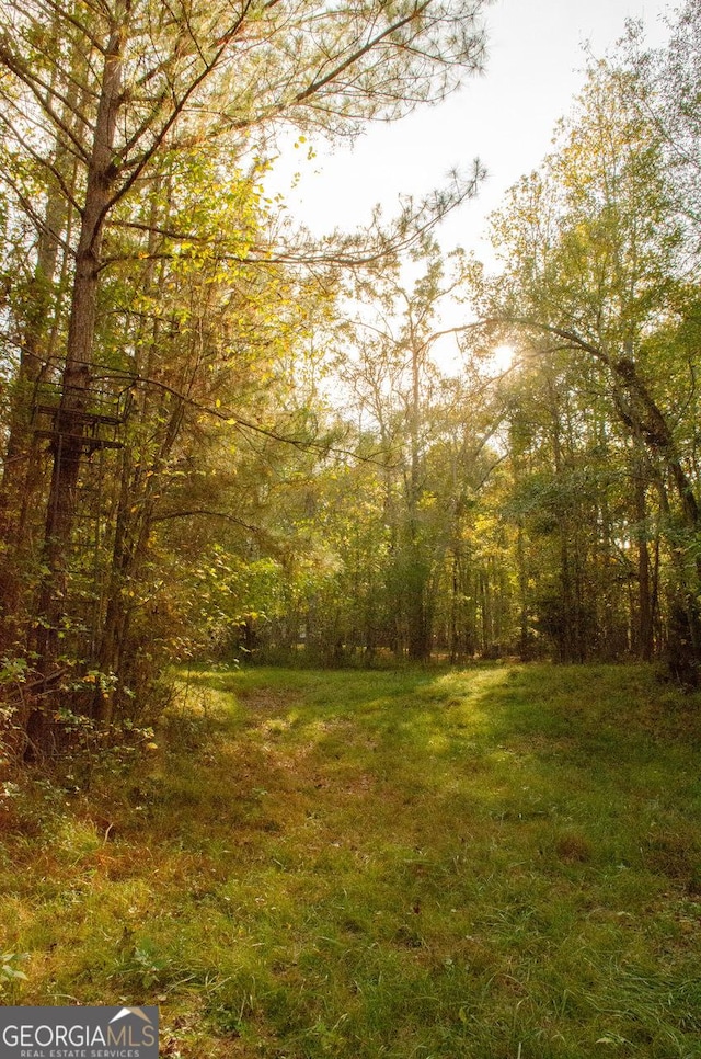 view of local wilderness