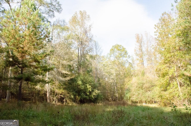 view of local wilderness