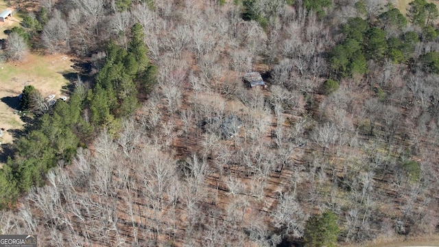 bird's eye view with a view of trees