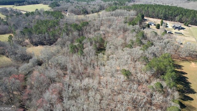 bird's eye view featuring a forest view and a rural view