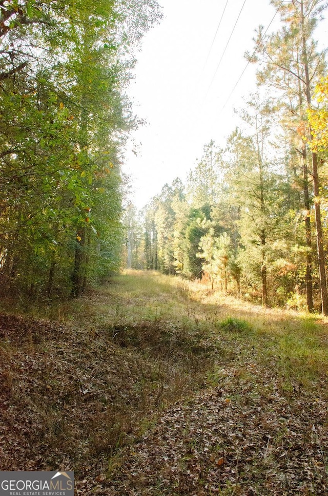 view of local wilderness