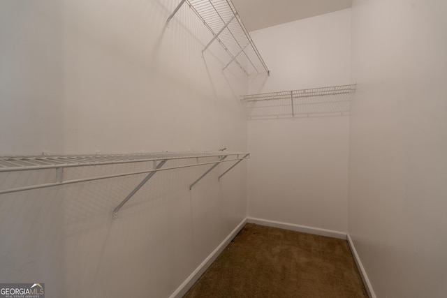 spacious closet featuring carpet flooring