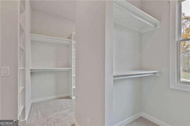 spacious closet featuring light colored carpet