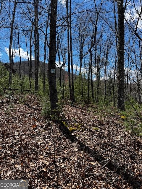 11 Knights Way, Blairsville GA, 30512 land for sale