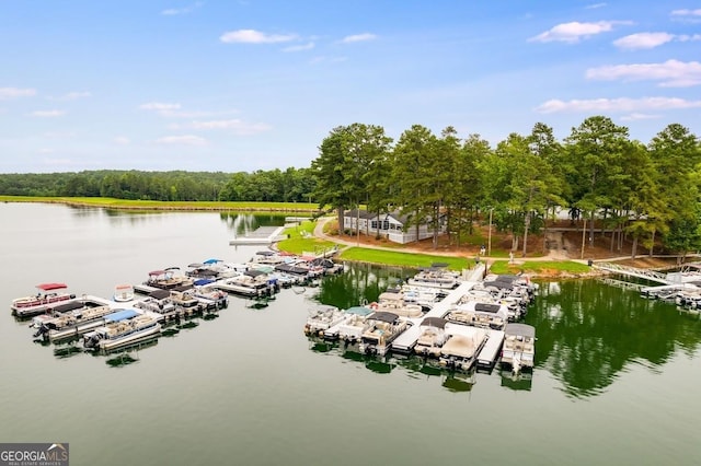 view of dock with a water view