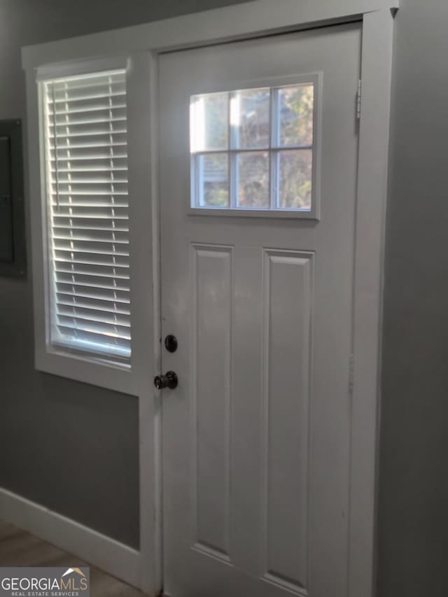 entryway with a wealth of natural light, electric panel, and wood-type flooring