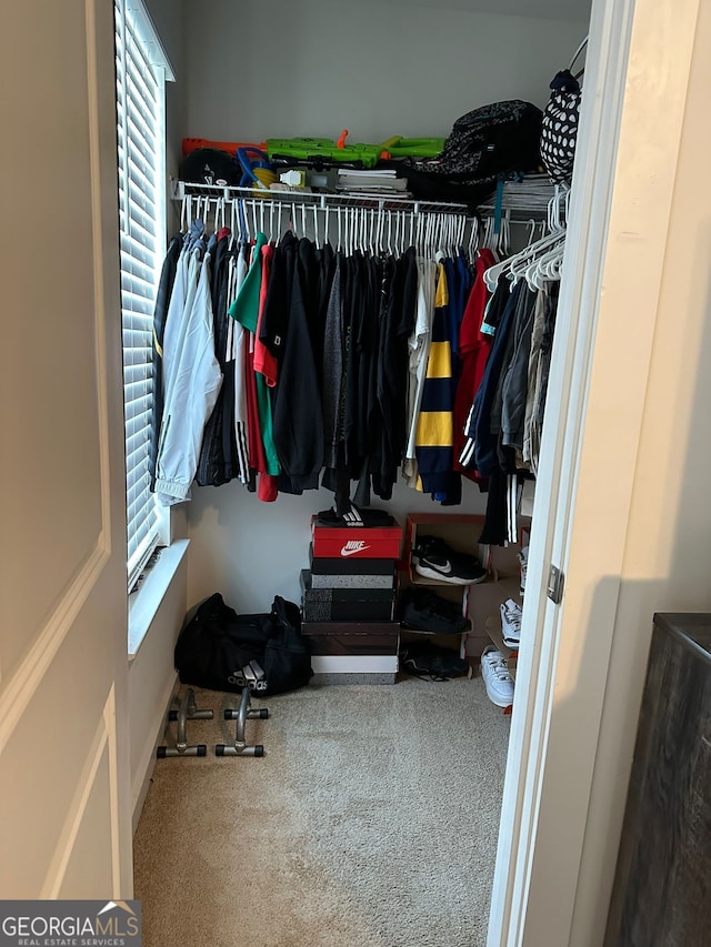 walk in closet featuring carpet