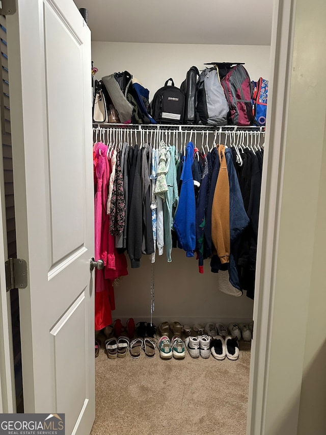 spacious closet with carpet