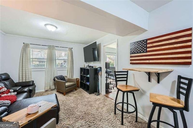 living room with carpet flooring and a wealth of natural light