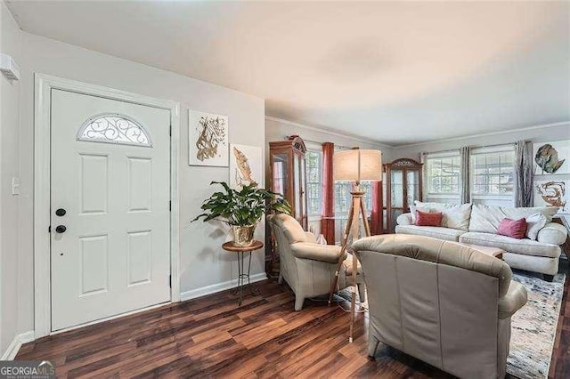 foyer with dark hardwood / wood-style floors