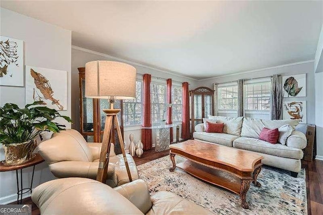 living room with wood-type flooring and ornamental molding