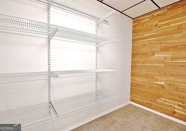 spacious closet with carpet and a paneled ceiling