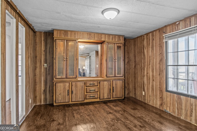 interior space featuring wooden walls and dark hardwood / wood-style flooring