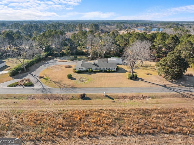 aerial view