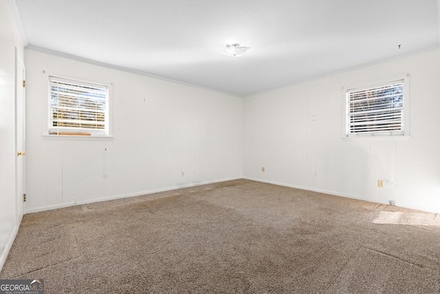 empty room featuring carpet flooring and ornamental molding