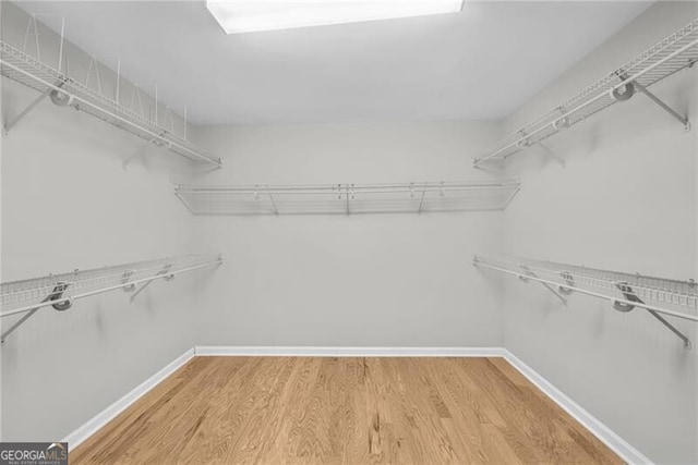 walk in closet featuring wood-type flooring