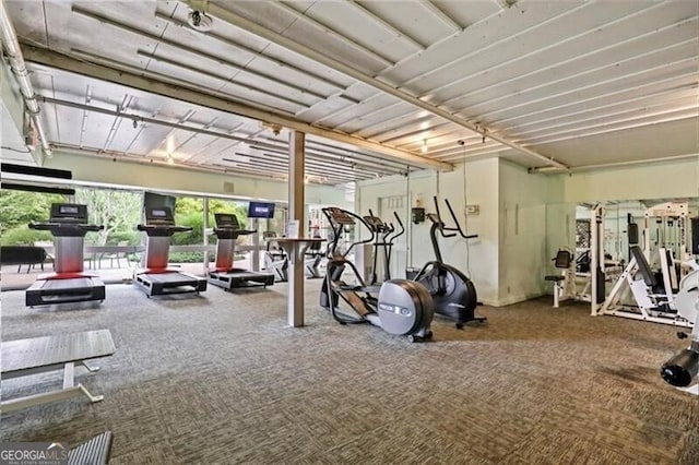 exercise room featuring carpet