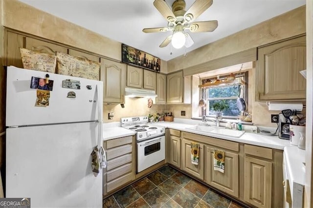 kitchen featuring ceiling fan, light brown cabinets, white appliances, and sink