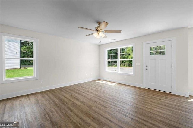 foyer with ceiling fan, dark wood-type flooring, and a wealth of natural light