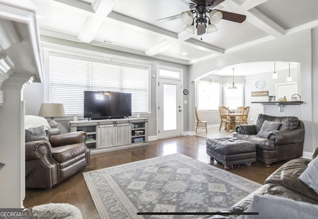 living room featuring beam ceiling, coffered ceiling, dark wood-type flooring, and ceiling fan with notable chandelier