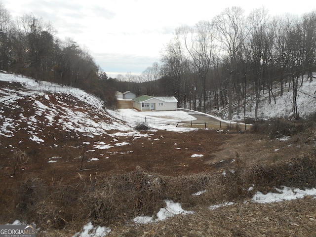 view of yard covered in snow