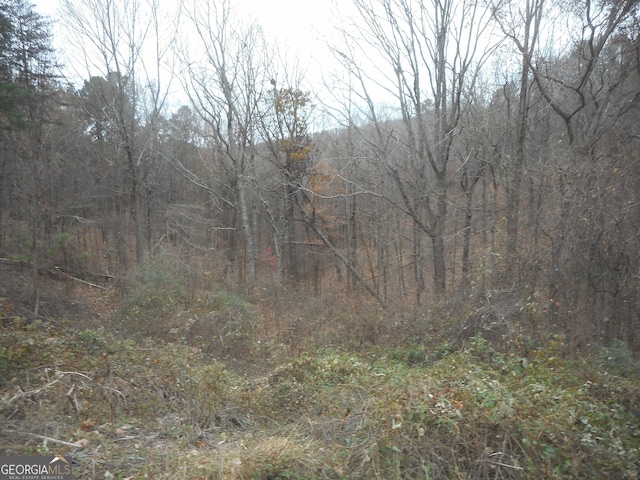 view of local wilderness