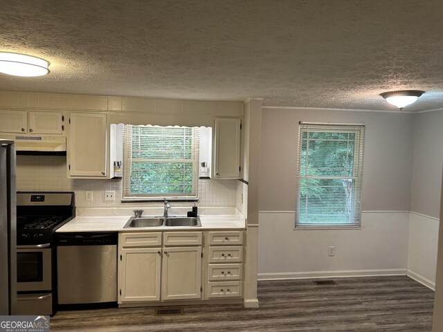 kitchen featuring appliances with stainless steel finishes, backsplash, a wealth of natural light, and sink