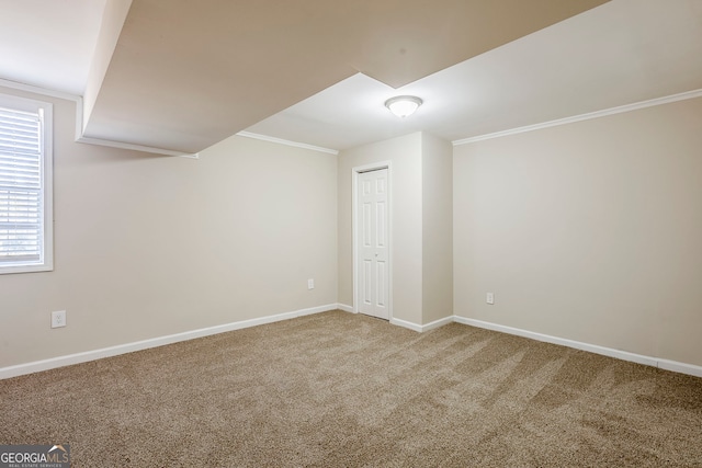 interior space with ornamental molding and carpet