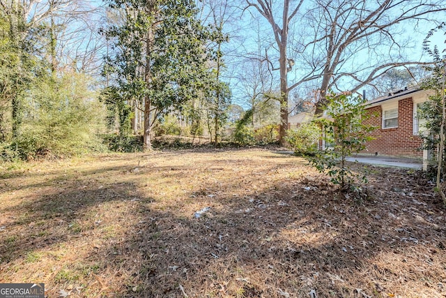 view of yard featuring a patio