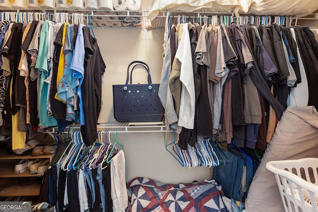 view of walk in closet