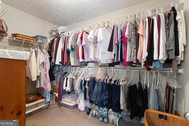 walk in closet featuring carpet flooring