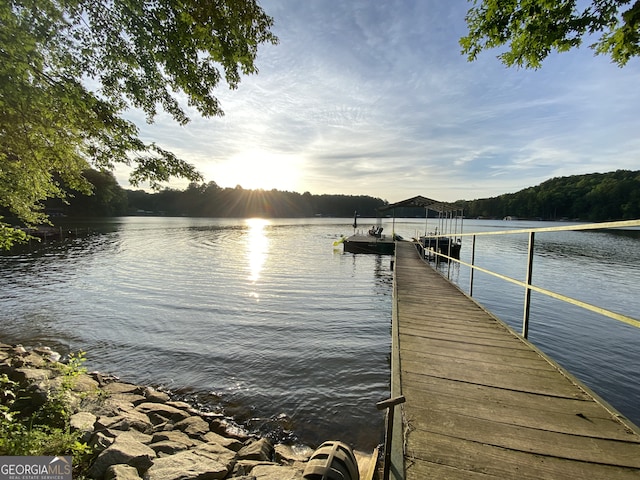 dock area with a water view