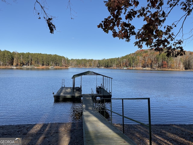 dock area with a water view