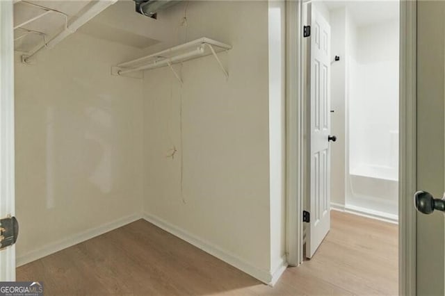 spacious closet with light wood-type flooring