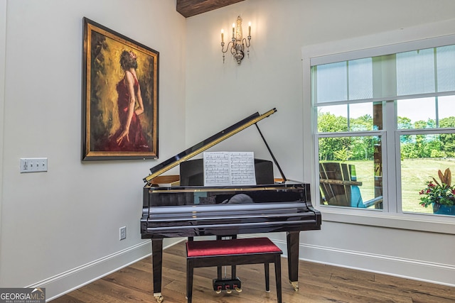 misc room with hardwood / wood-style flooring and a wealth of natural light