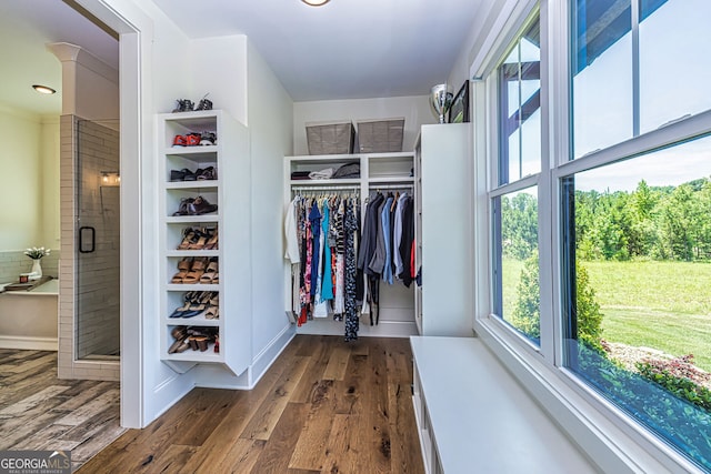 spacious closet with dark wood-type flooring