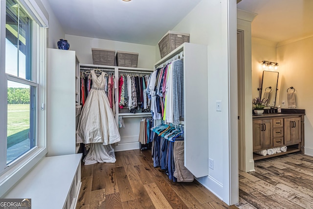 spacious closet featuring dark hardwood / wood-style flooring