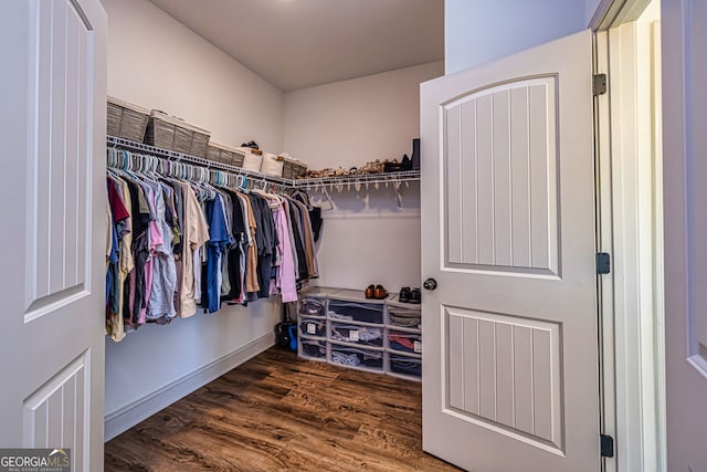 spacious closet featuring dark wood-type flooring