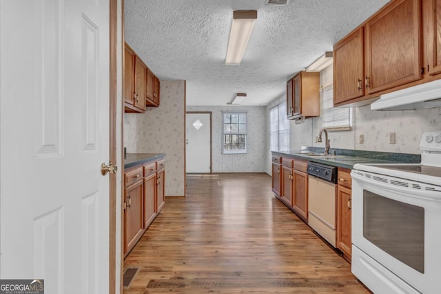 kitchen featuring a textured ceiling, white appliances, light hardwood / wood-style flooring, and sink