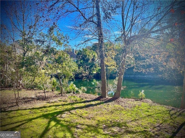 view of yard with a water view