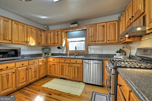 kitchen featuring decorative backsplash, appliances with stainless steel finishes, light hardwood / wood-style flooring, and sink