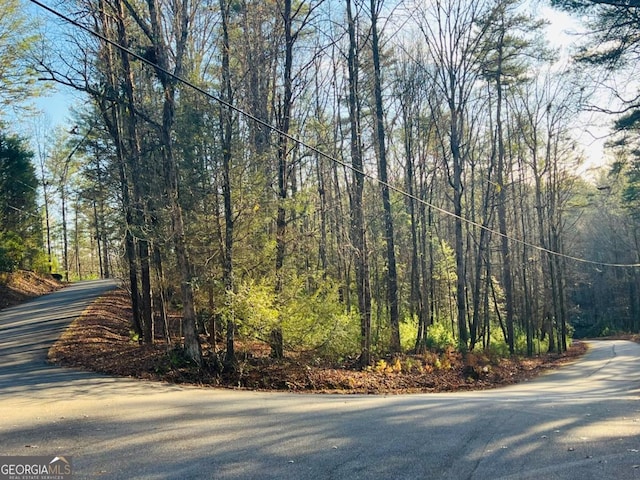 LOT622 Sapulpa Ct, Ellijay GA, 30540 land for sale