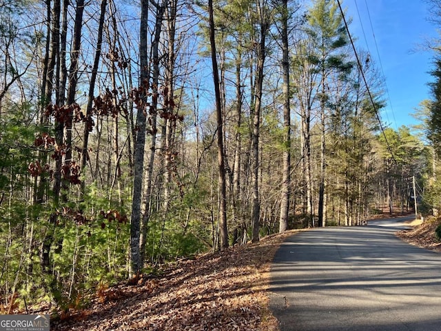 Listing photo 3 for LOT622 Sapulpa Ct, Ellijay GA 30540