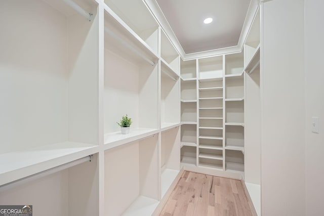 walk in closet with light wood-type flooring