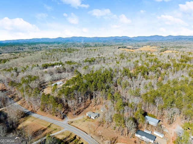 birds eye view of property featuring a mountain view