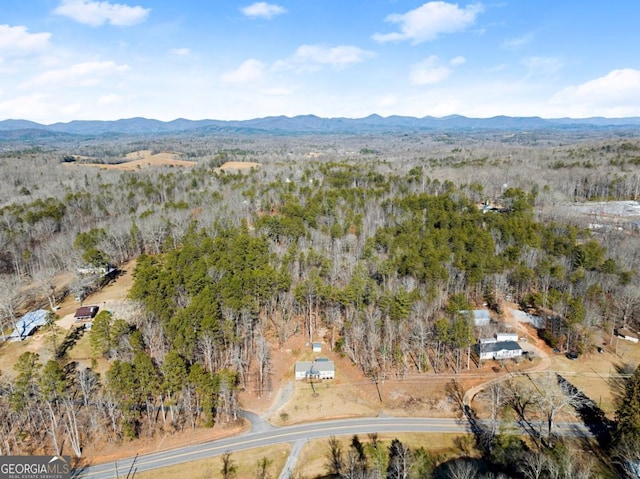 aerial view with a mountain view